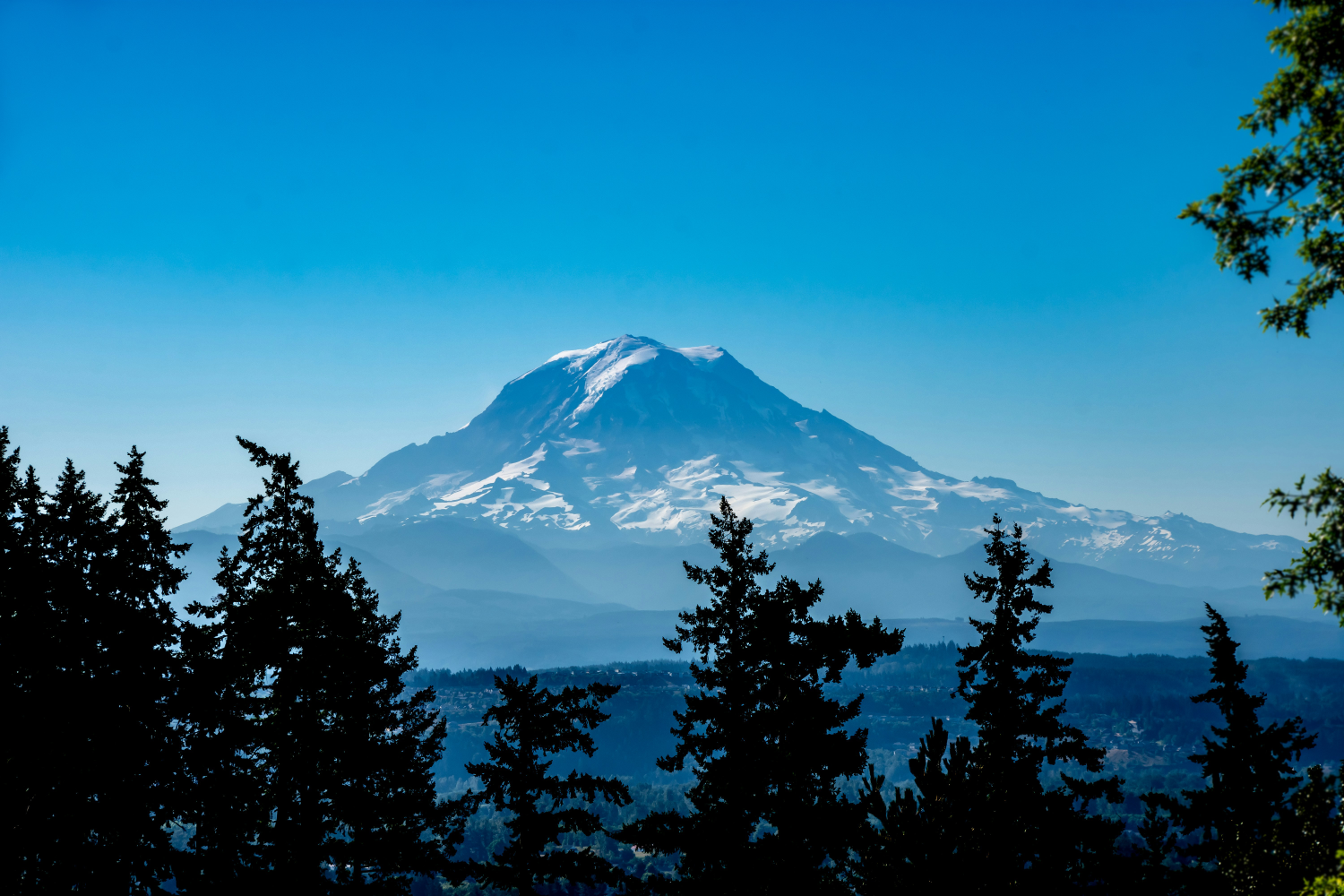 Why Bonney Lake is One of Pierce County’s Best Places to Live header image.