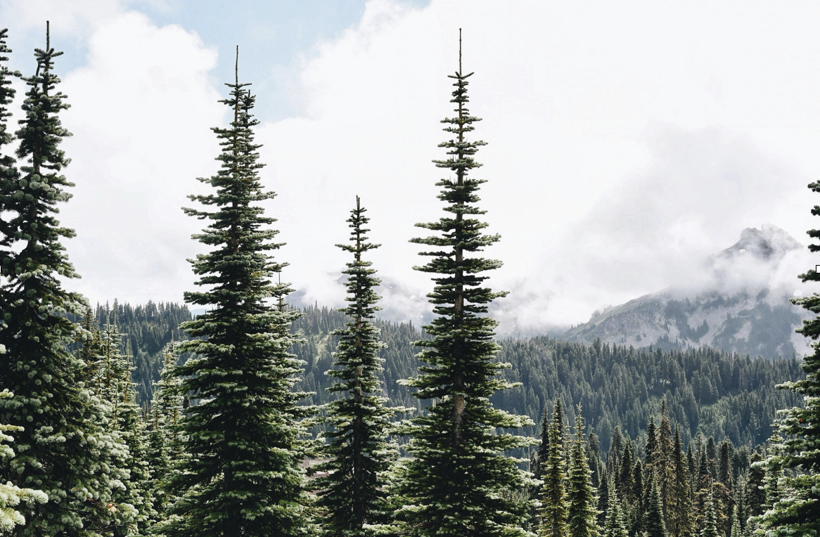 Spring Will Be Here Before You Know It—Here’s How to Get Ready to Sell Your Home header image.