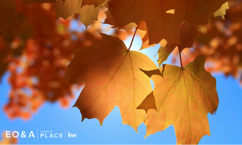 Sonoma County Living This Week: What’s New, What’s Local, and What Sellers Should Know header image.