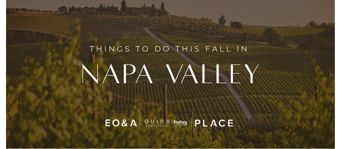 Fall colors across vineyards in Napa Valley, California