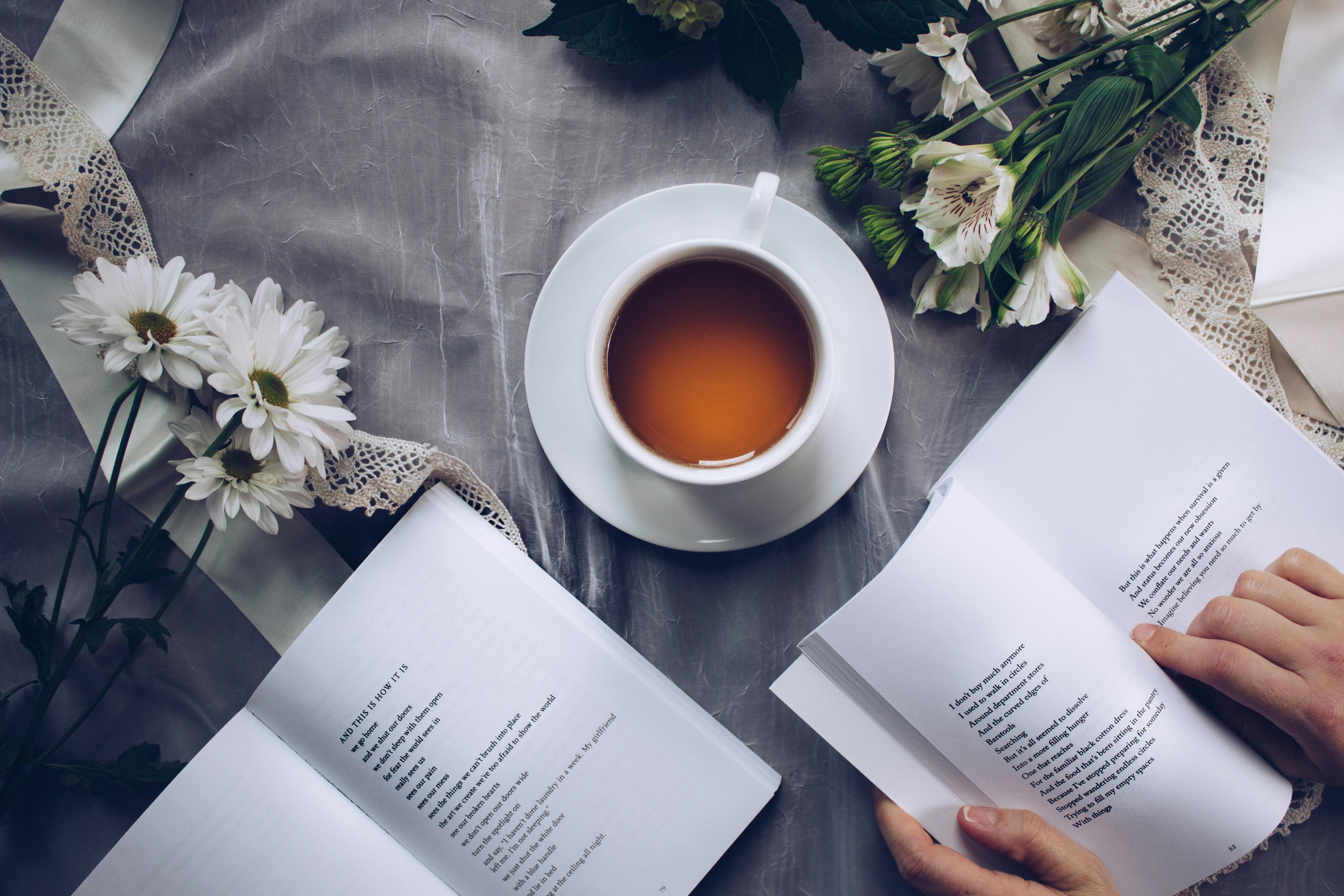 The Joy of Reading: Best Fall Books to Cozy Up With header image.
