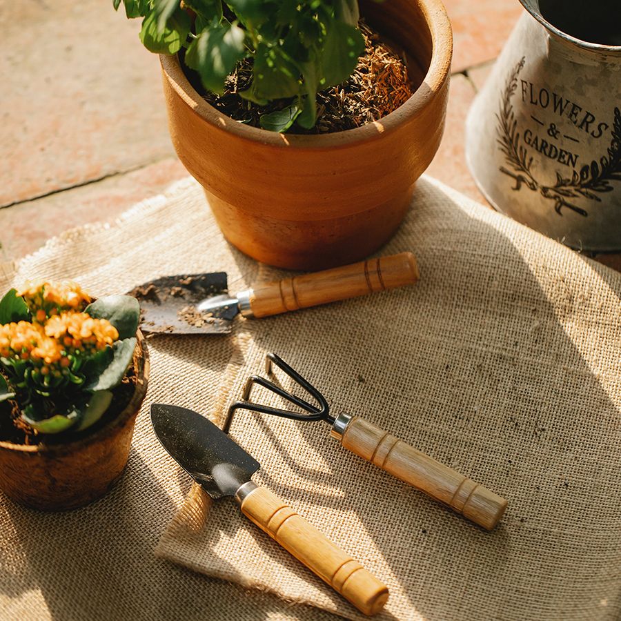 Fun and Creative DIY Projects for Homeowners This Summer header image.