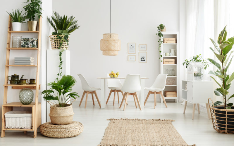 Tips for Staging with Plants header image.