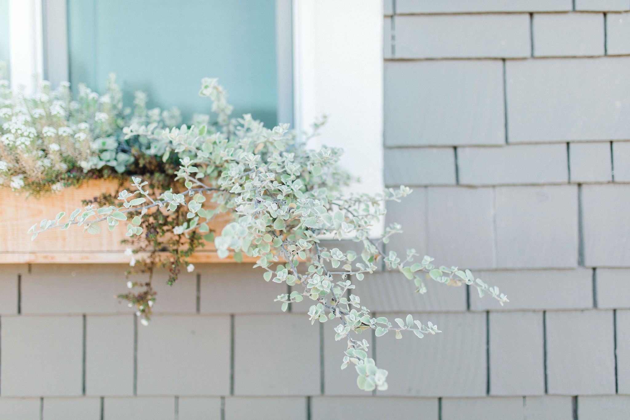 USDA Home Loans: Unlocking Rural Homeownership Opportunities header image.