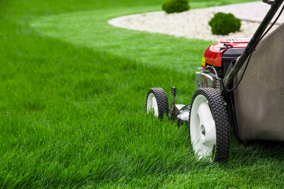 5 Common Lawn Mistakes header image.