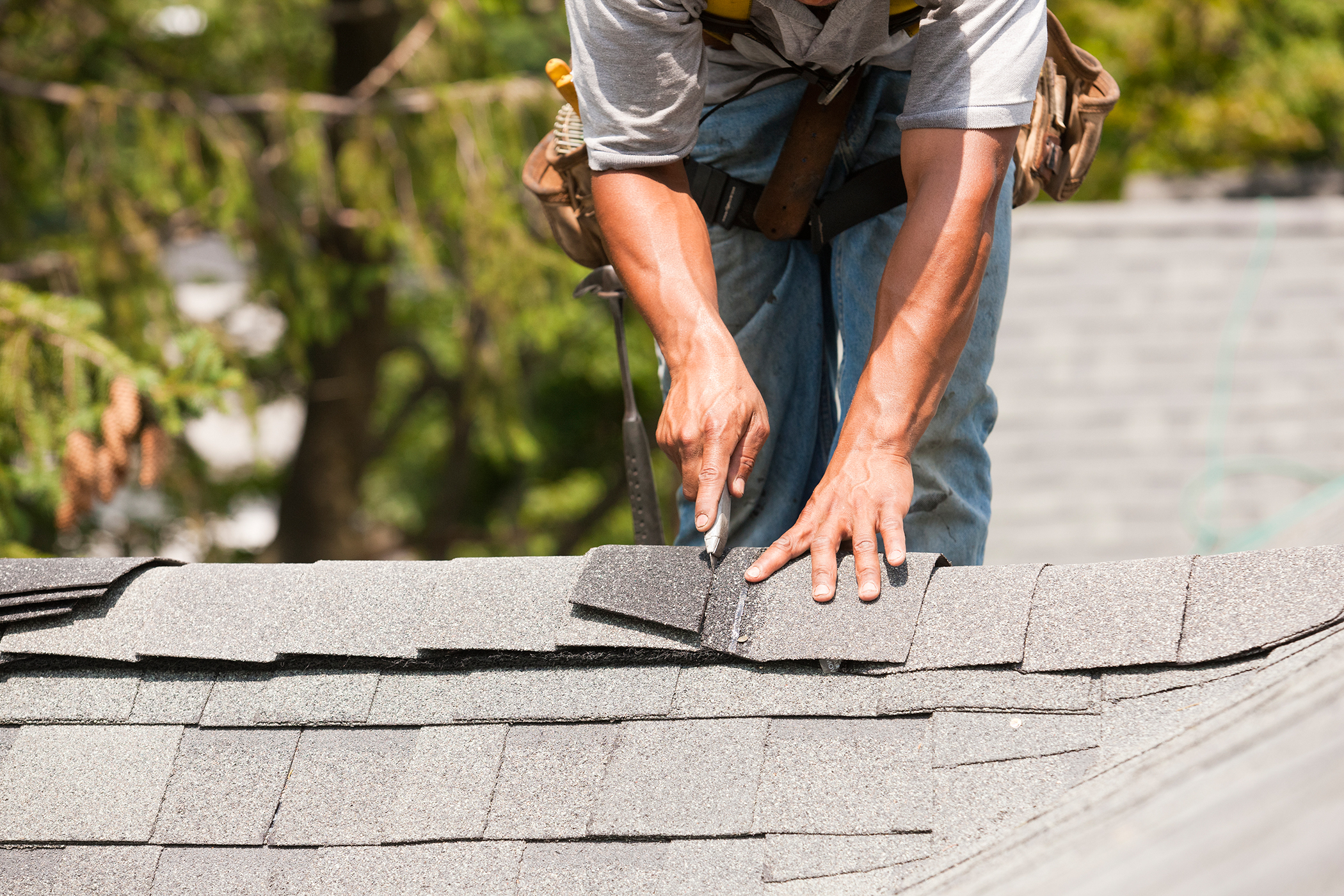 Should You Repair or Replace a Roof? header image.