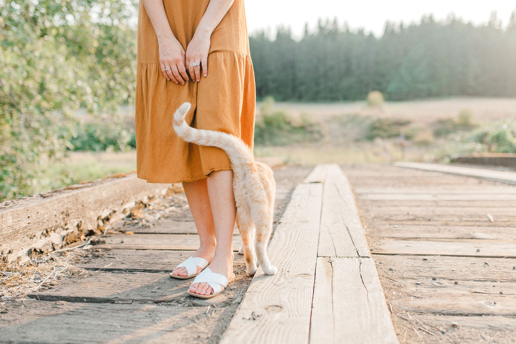 Pet-Friendly Properties – How to Find the Right Home for You and Your Furry Friends header image.