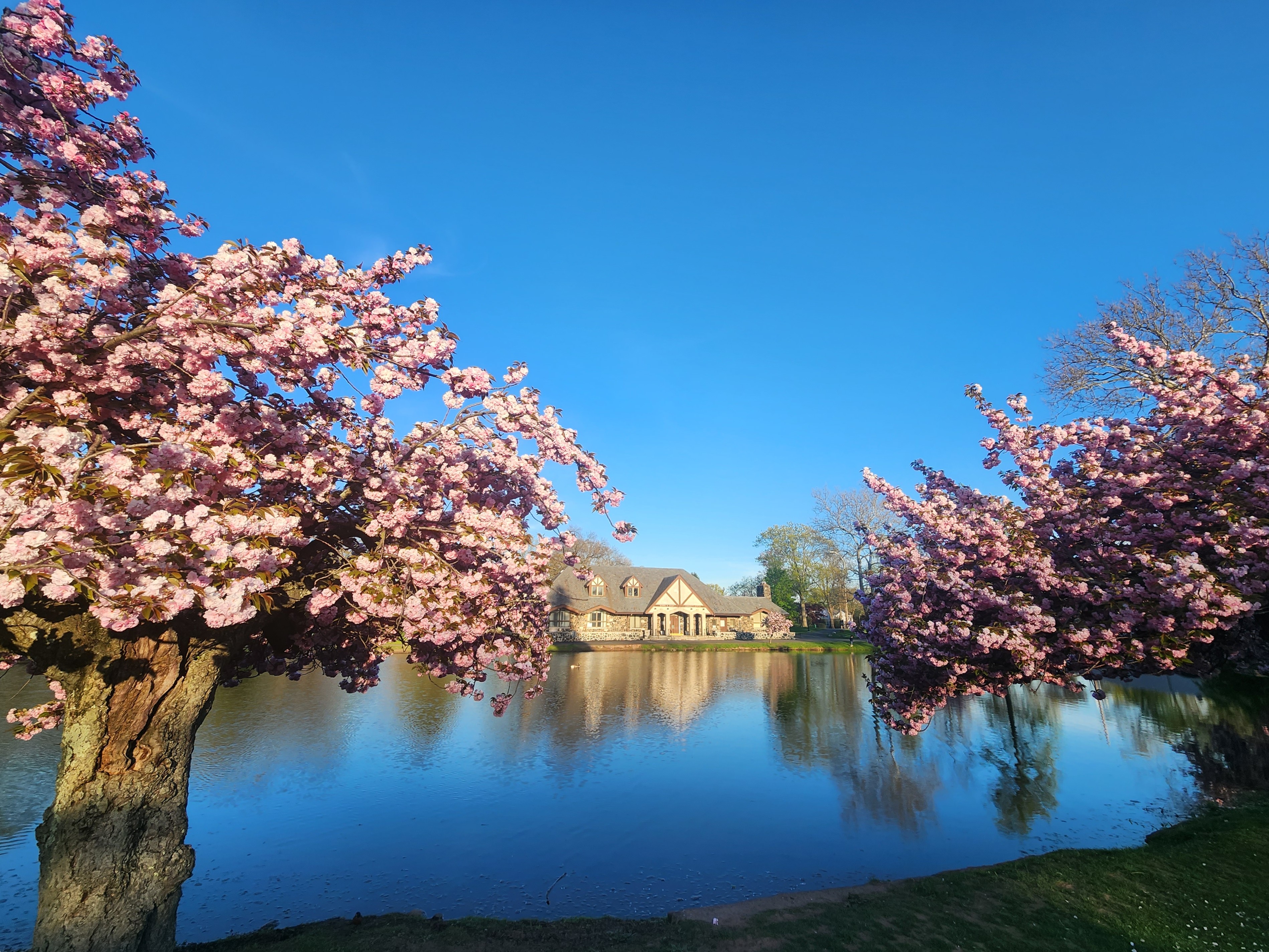 Scenic view of a charming New Jersey suburban downtown with boutique shops, tree-lined streets, and a nearby train station offering easy commute to NYC.