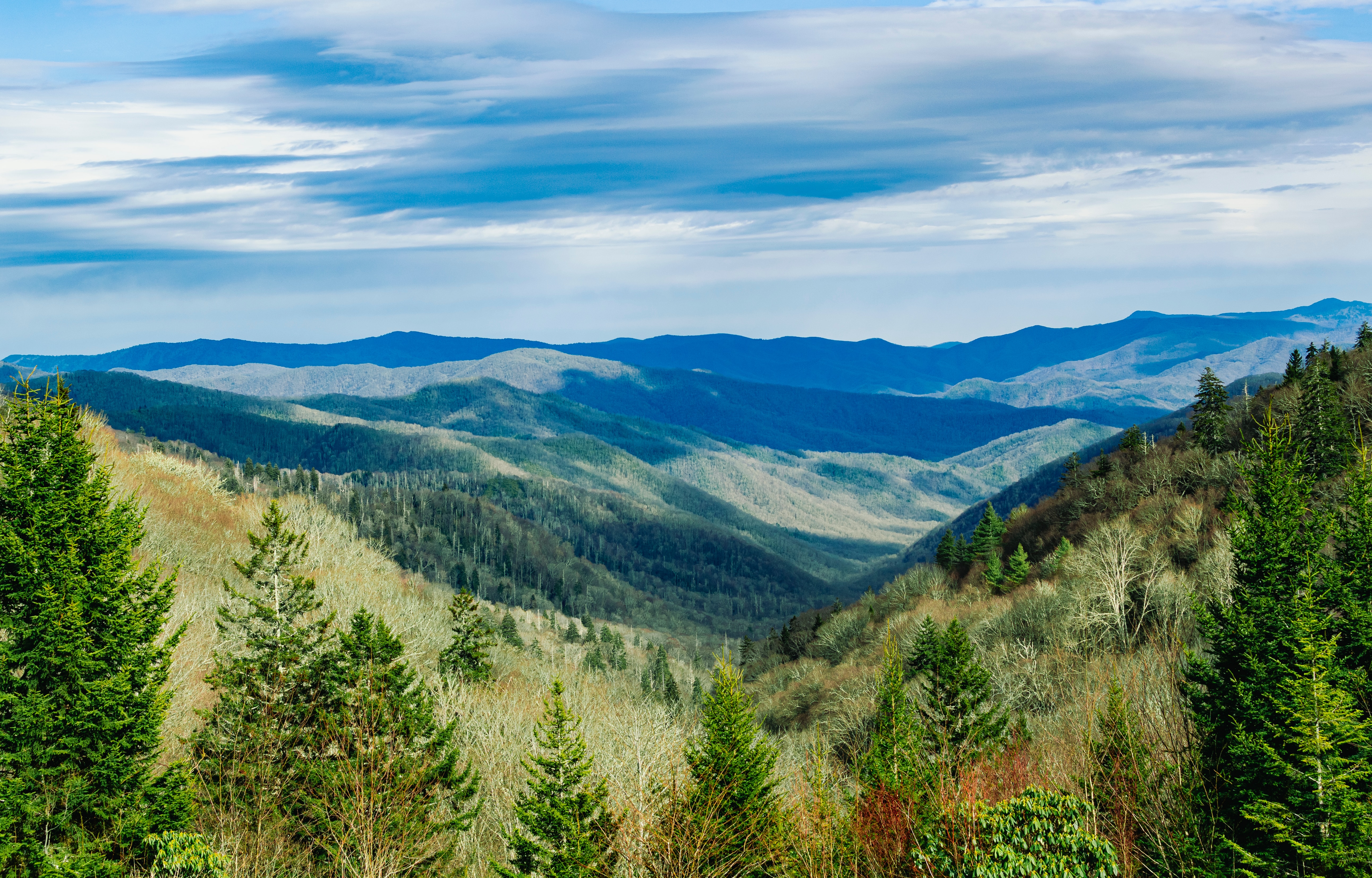 Business Insider: Floridians are trading beaches for Tennessee mountains header image.