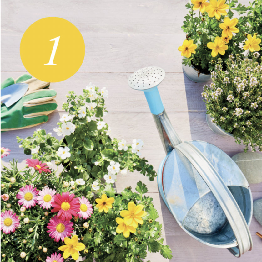 Enhance Your Home's Appeal: Steve Springer's Tips for a Successful Sale header image.