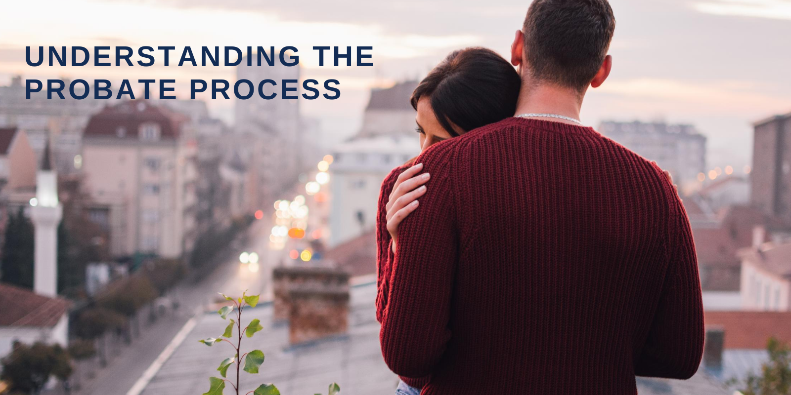 Understanding a Probate Sale header image.