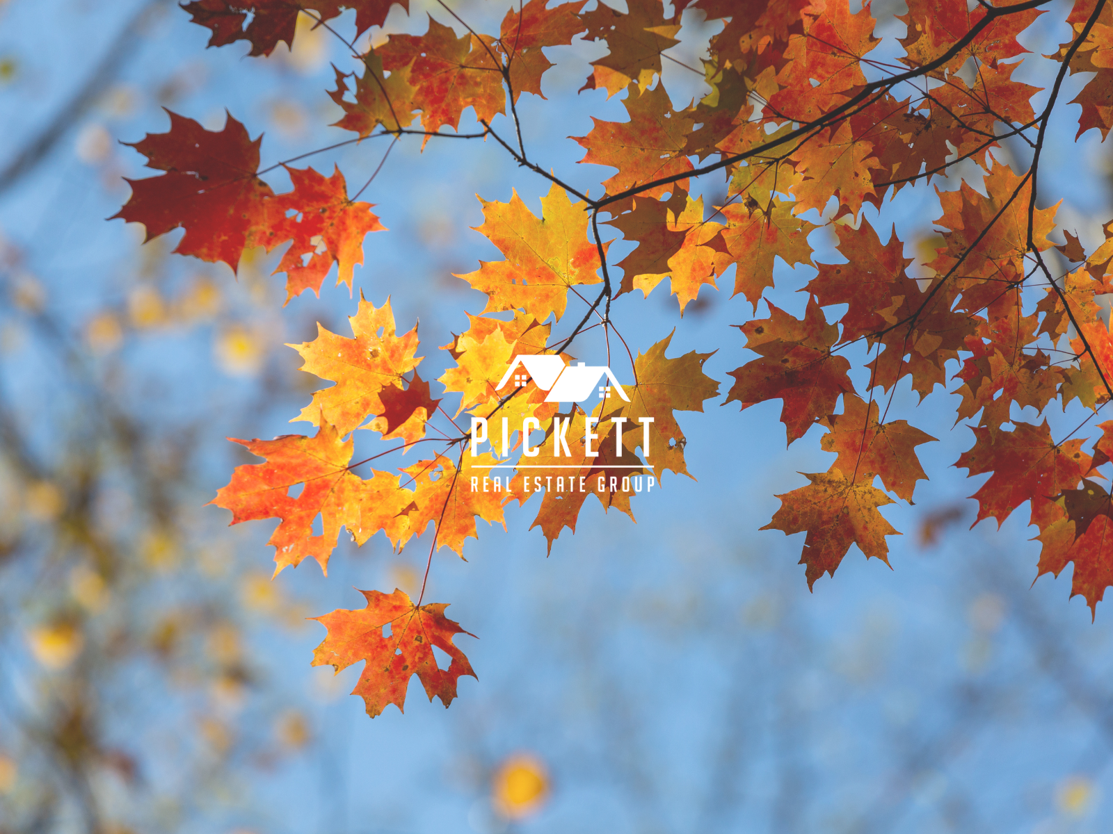 San Mateo County Market Update - October 2024 header image.