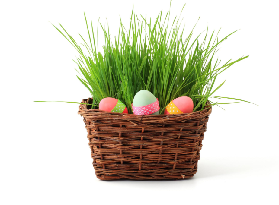 The Best of Philadelphia and the Southern New Jersey Shore- Weekend of March 23-25 header image.