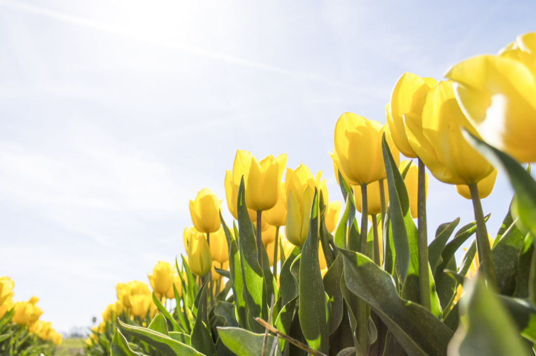 The Best of Philadelphia- Weekend of April 27-29 header image.