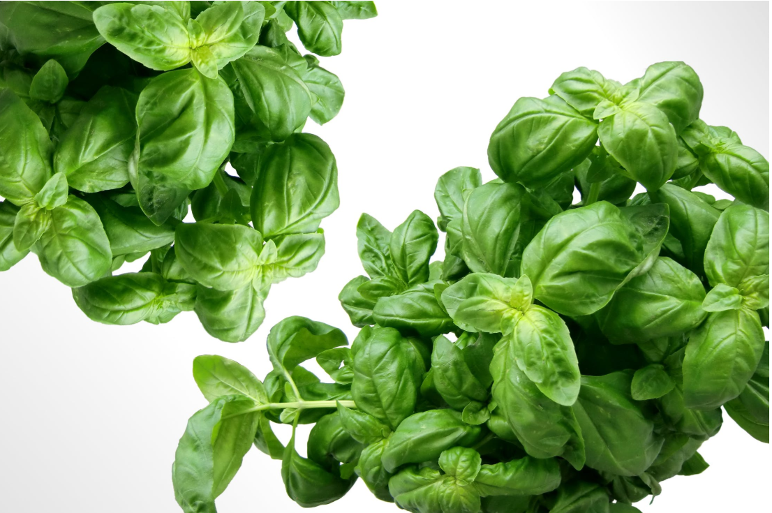 Add Culinary Flair to Your Garden and Your Recipes header image.