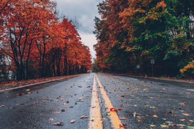 Your Guide to Fantastic Fall Events in Philly header image.