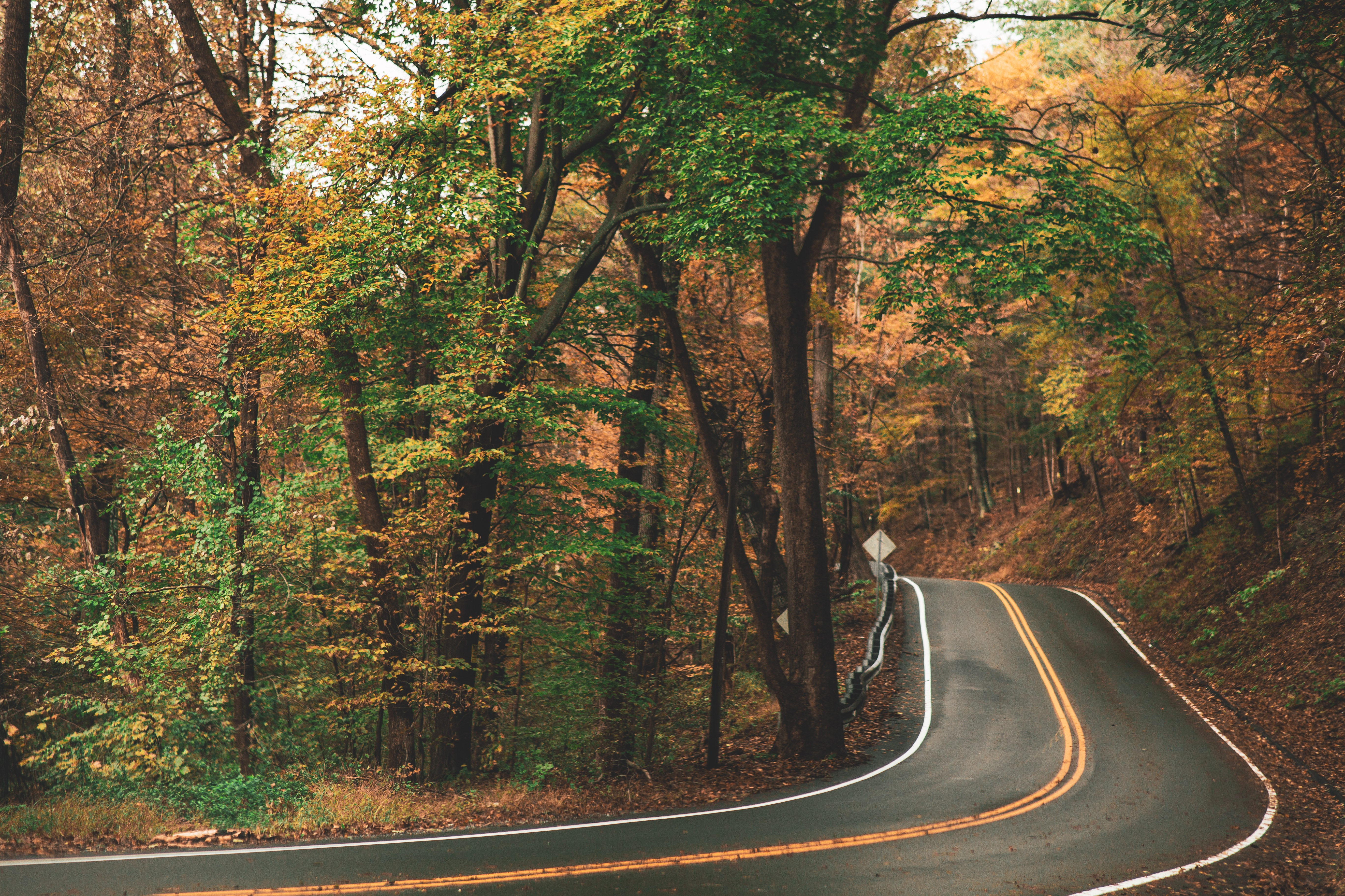 Where to See Pennsylvania's Best Fall Leaves in 2019 header image.