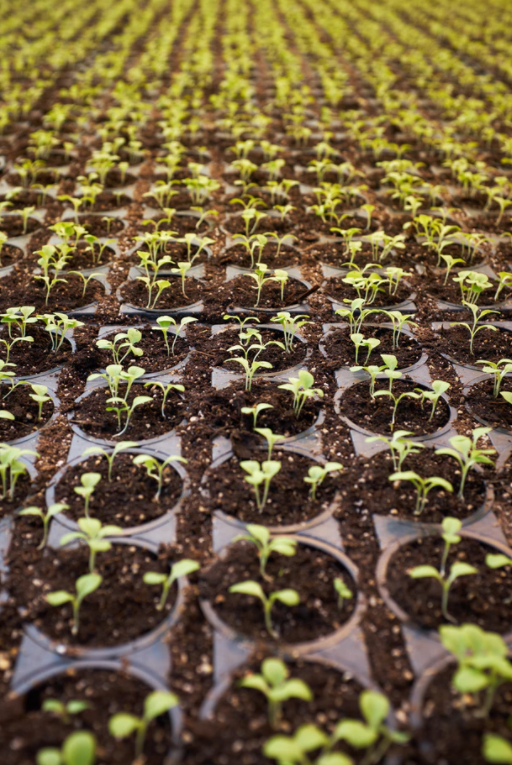 New Jersey Shore Happenings- Weekend of April 6-8 header image.