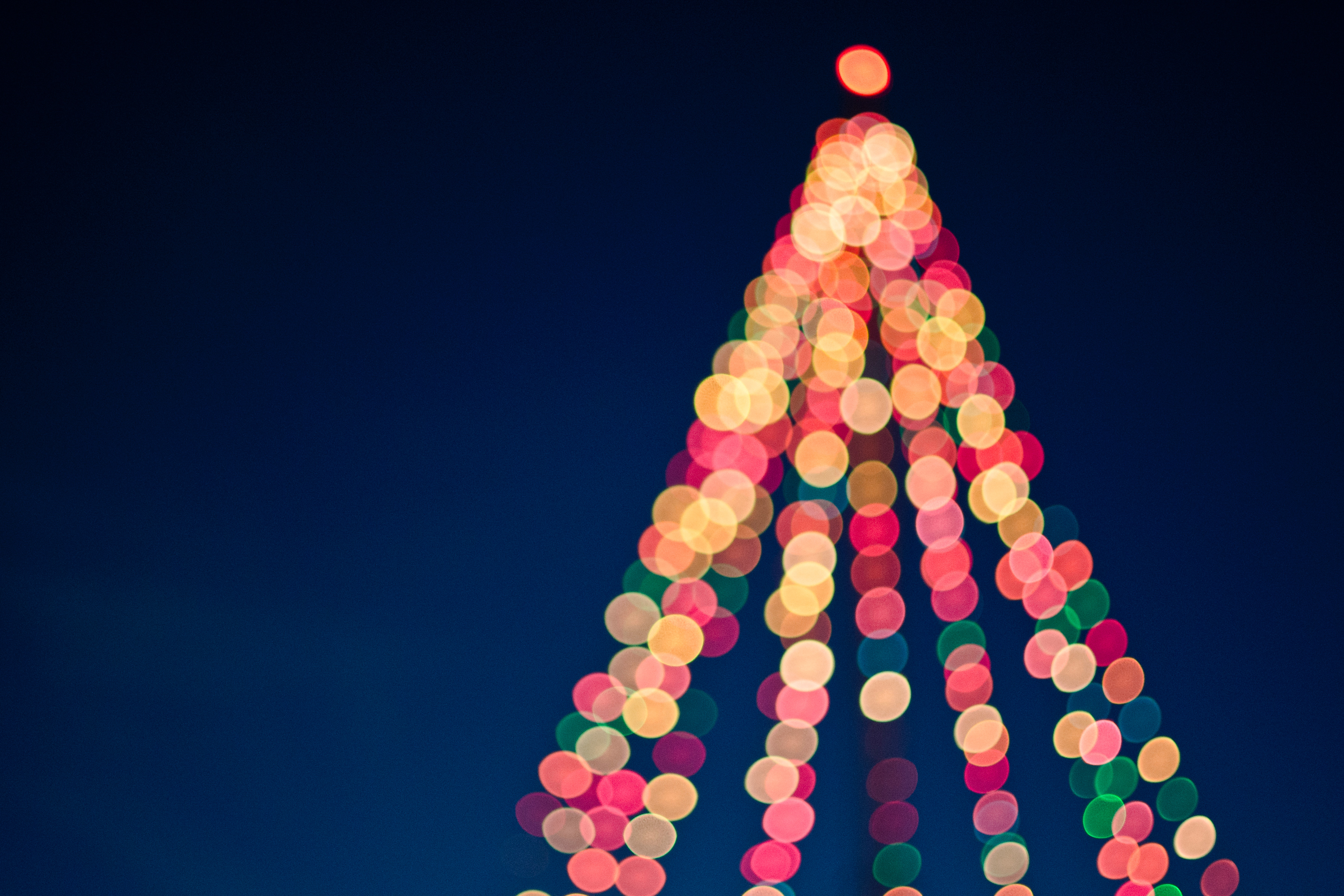 Light Up Your Holiday with These Local Christmas Light Displays header image.