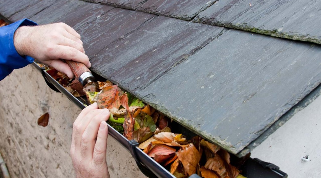 Homeowners Spring Maintenance Tips header image.