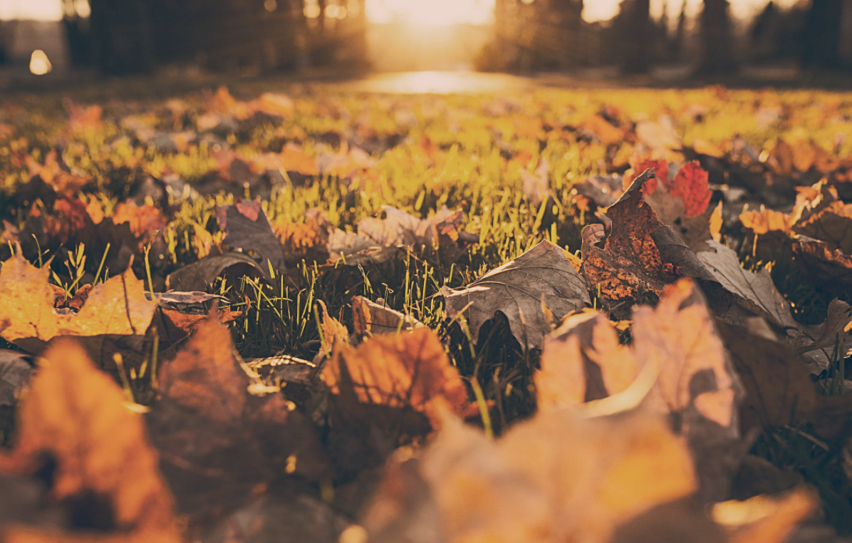 5 Home Maintenance Tasks You Need To Tackle In September header image.