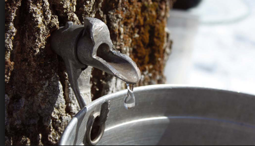 The Best of Philadelphia and the Southern New Jersey Shore- Weekend of February 23-25 header image.