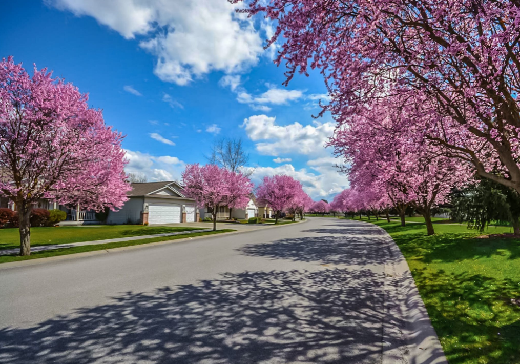 Need a Good Reason to Sell this Spring? We Have Five Great Reasons! header image.