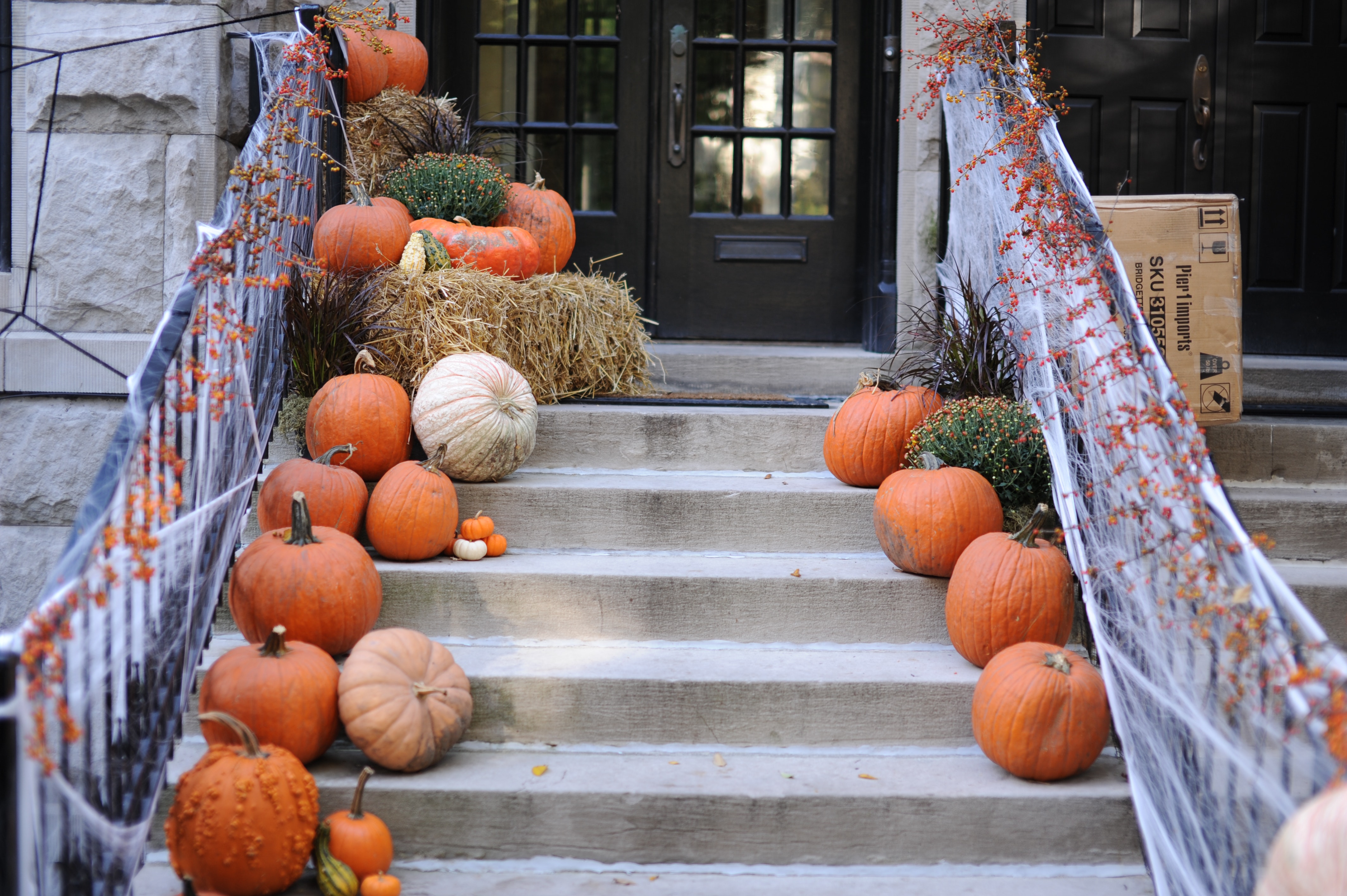 The Easiest Fall Decor from Amazon header image.