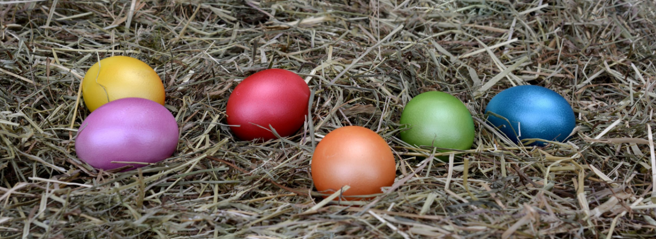 The Best of Philadelphia and the Southern New Jersey Shore- Weekend of March 16-18 header image.