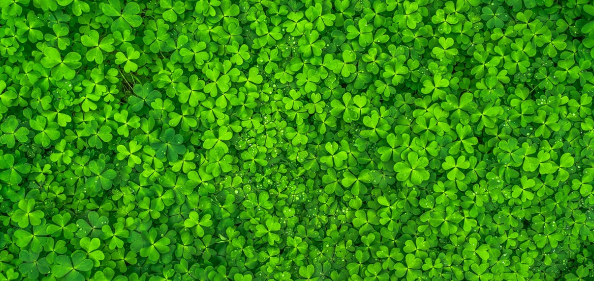 Facts All Philadelphians Should Know About St. Patrick (and St. Patrick’s Day) header image.