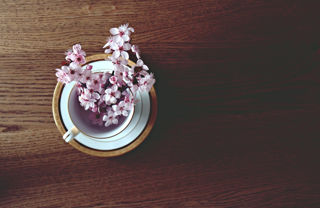 The Best of Philadelphia: Weekend of April 6-8 header image.