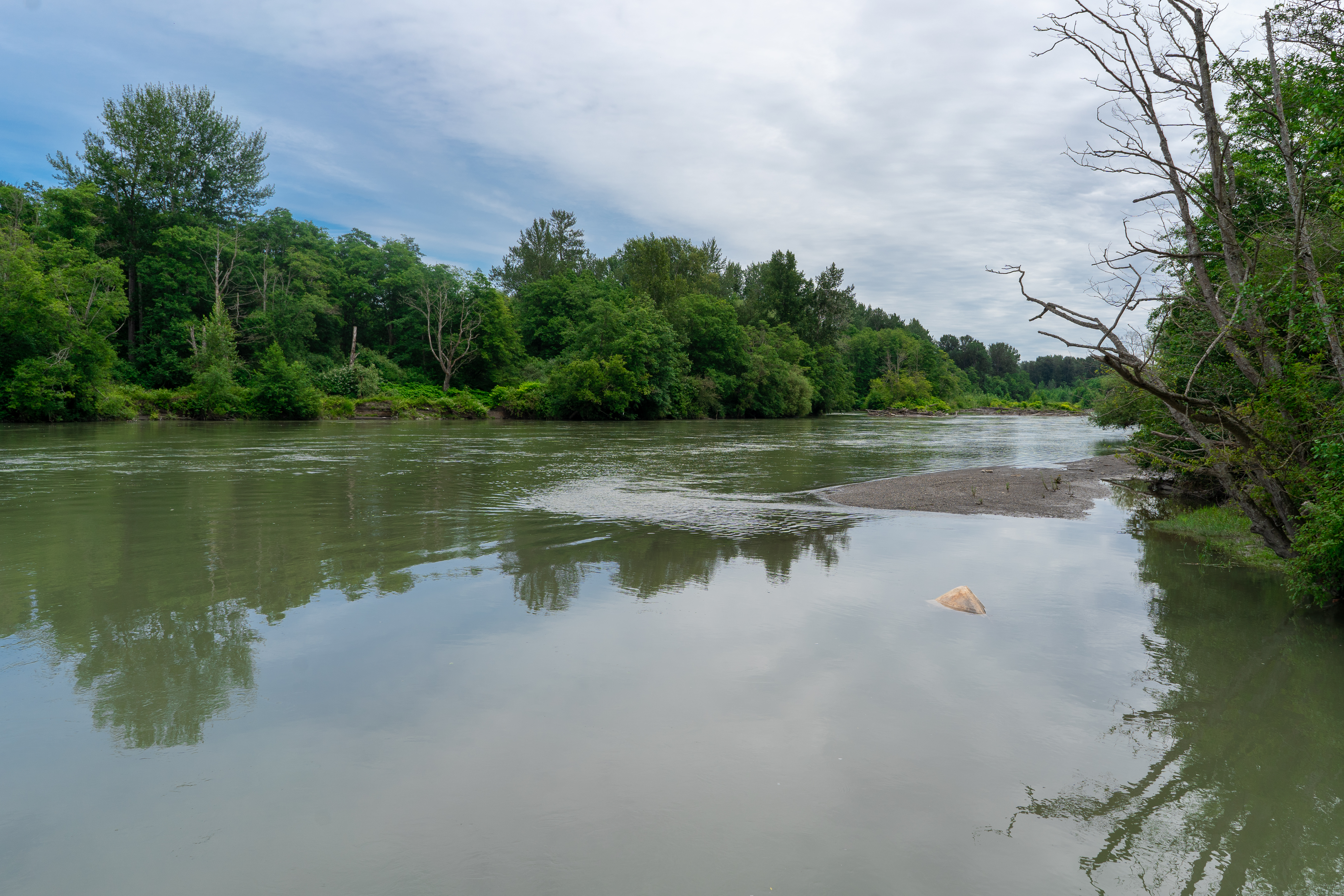 Nooksack WRIA 1 Water Adjudication: An Overview header image.
