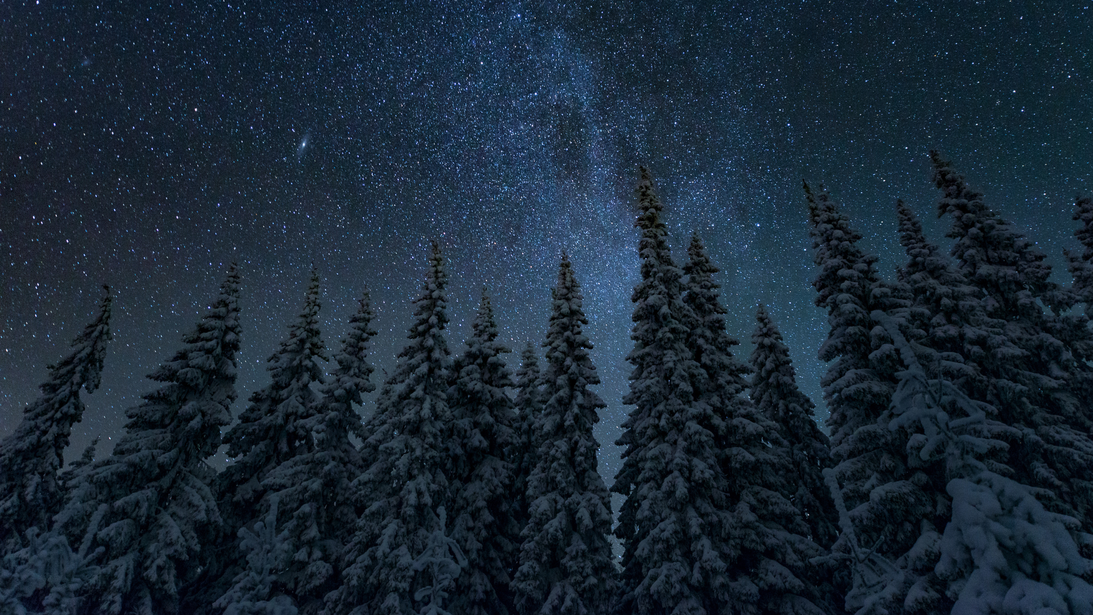 Seasonality & the Real Estate Market of Whatcom County header image.