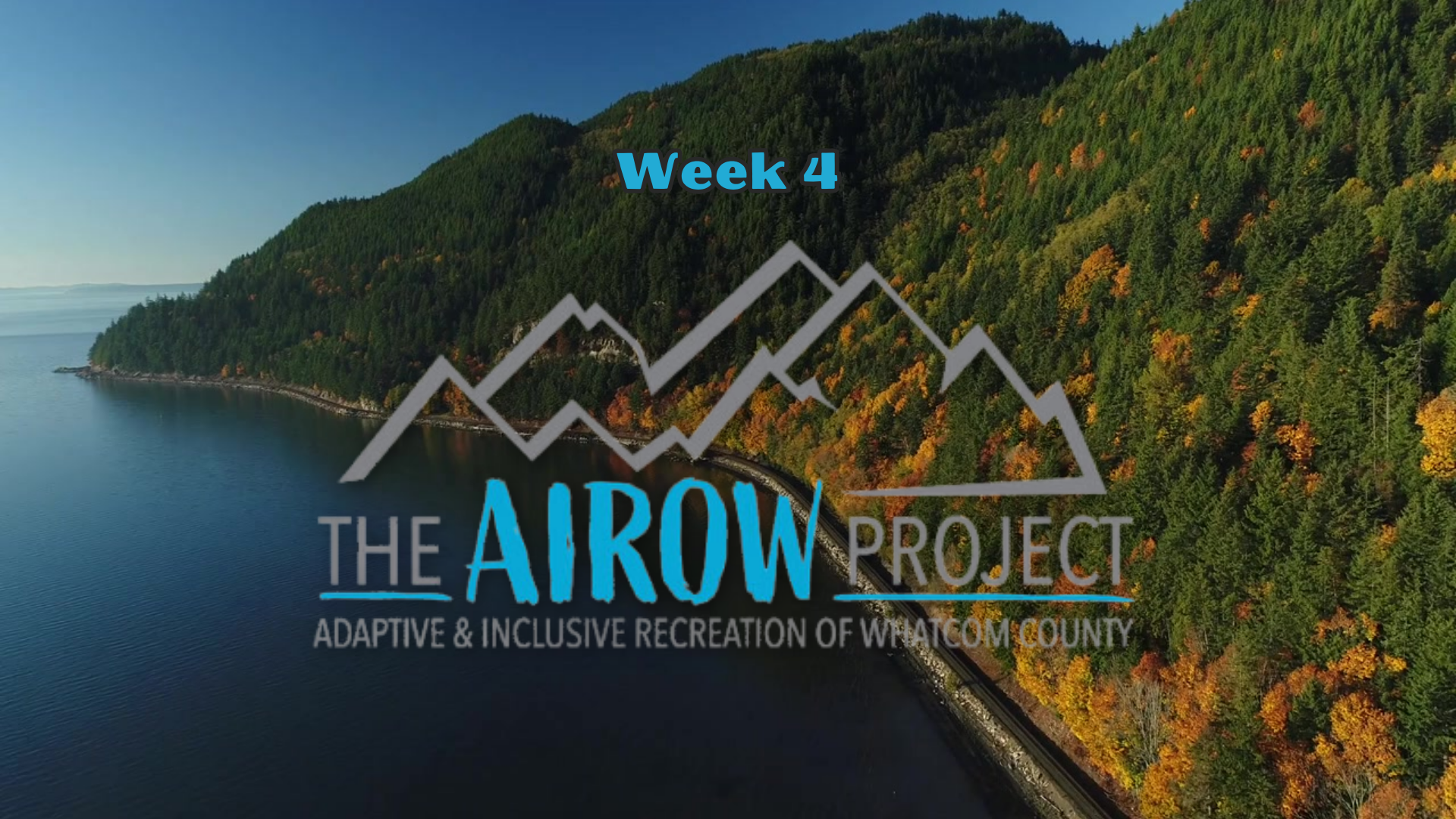 Nonprofit November: The AIROW Project header image.