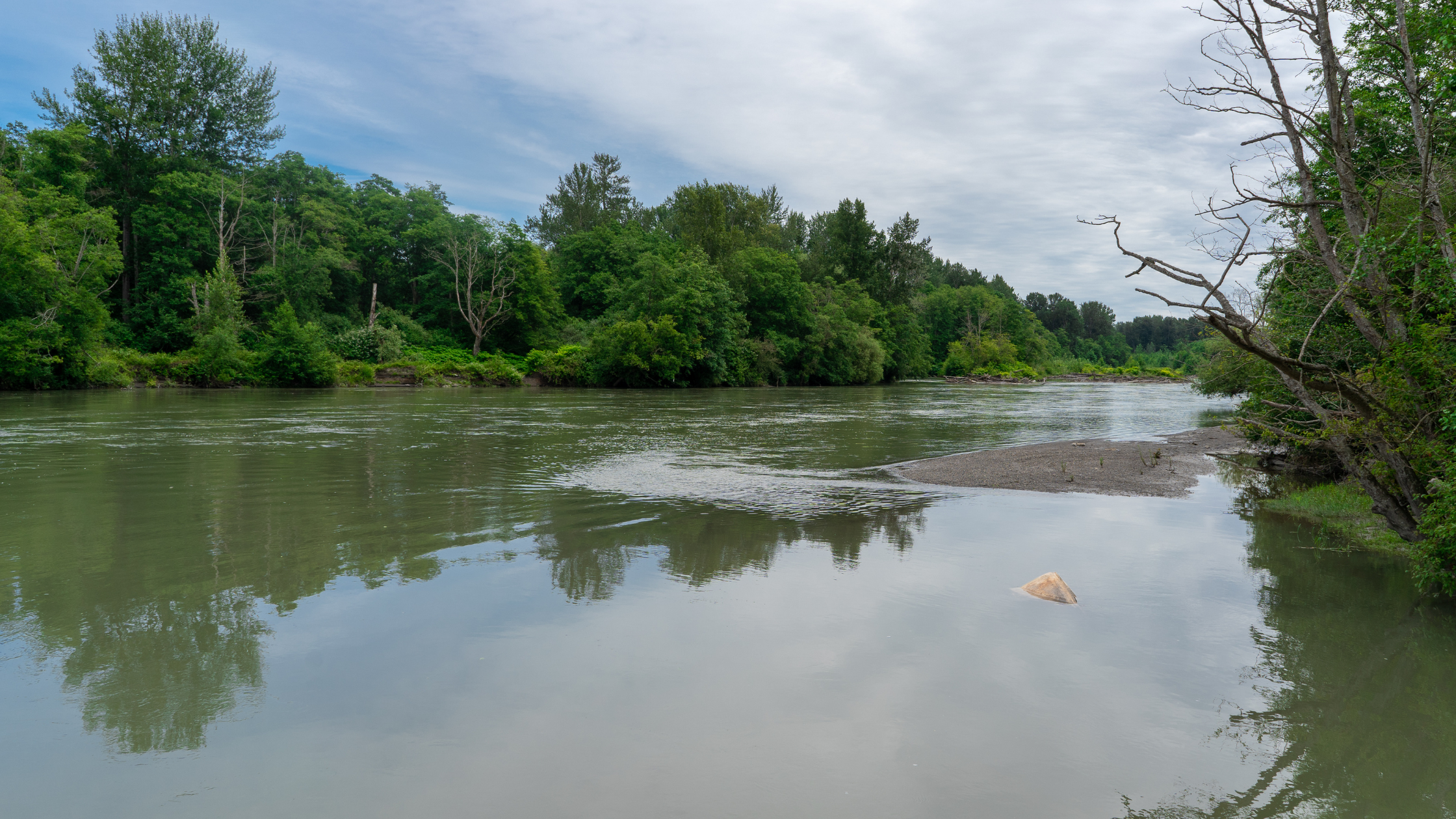 Water Adjudication header image.