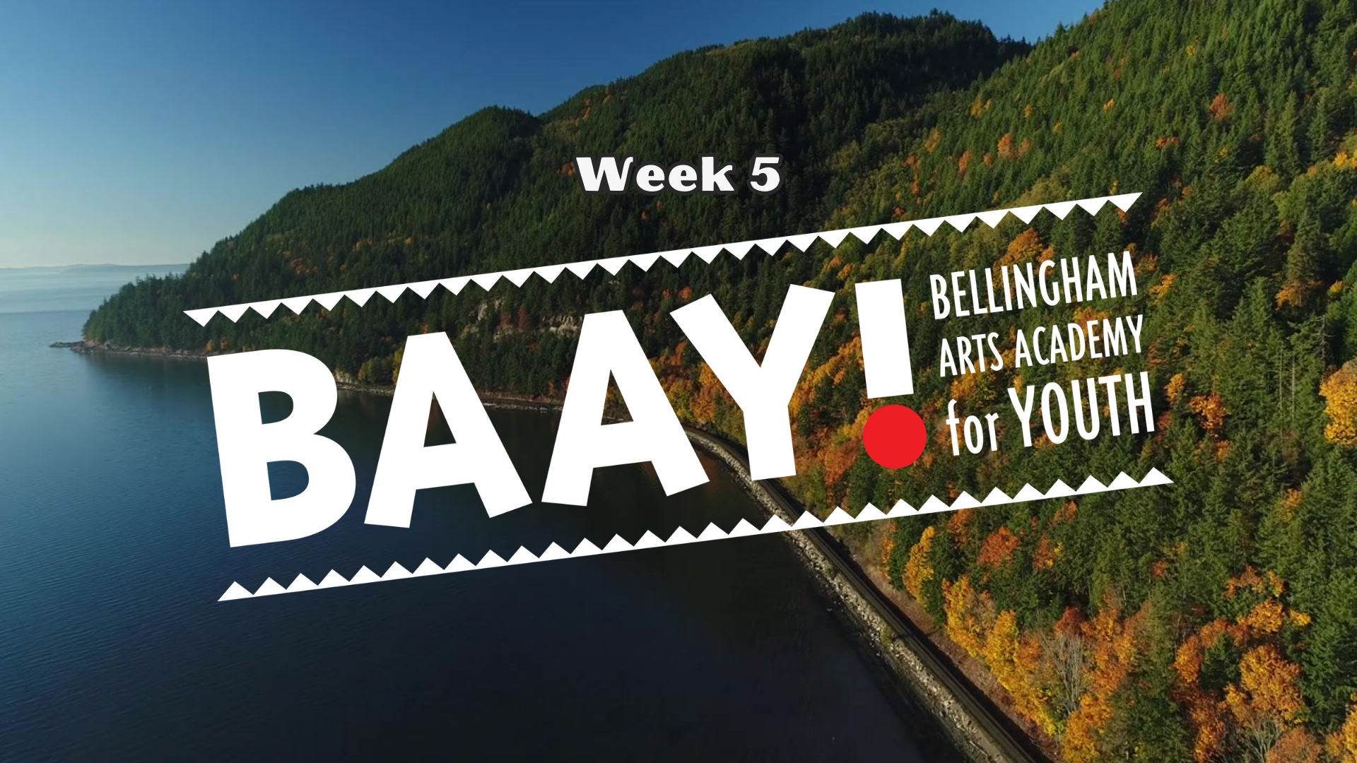 Nonprofit November: BAAY! Bellingham Arts Academy for Youth header image.