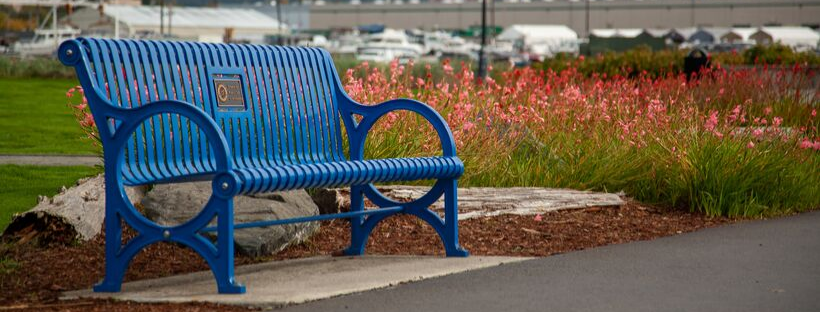 Cohen Group NW: Living Like a Local header image.