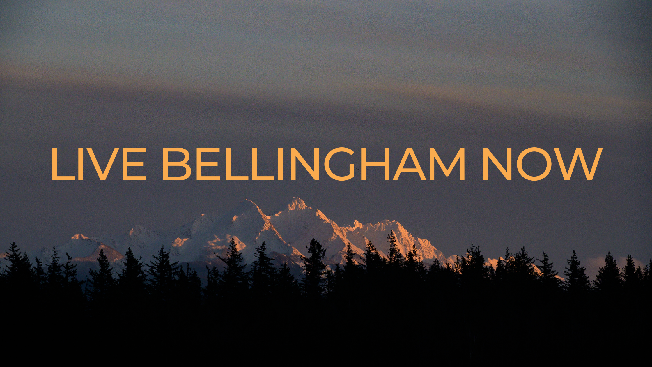Guide to Valentine's in the PNW header image.