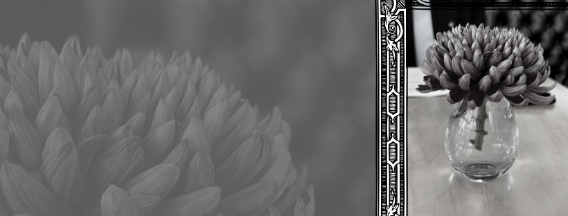 CGNW Recommends: Camber header image.