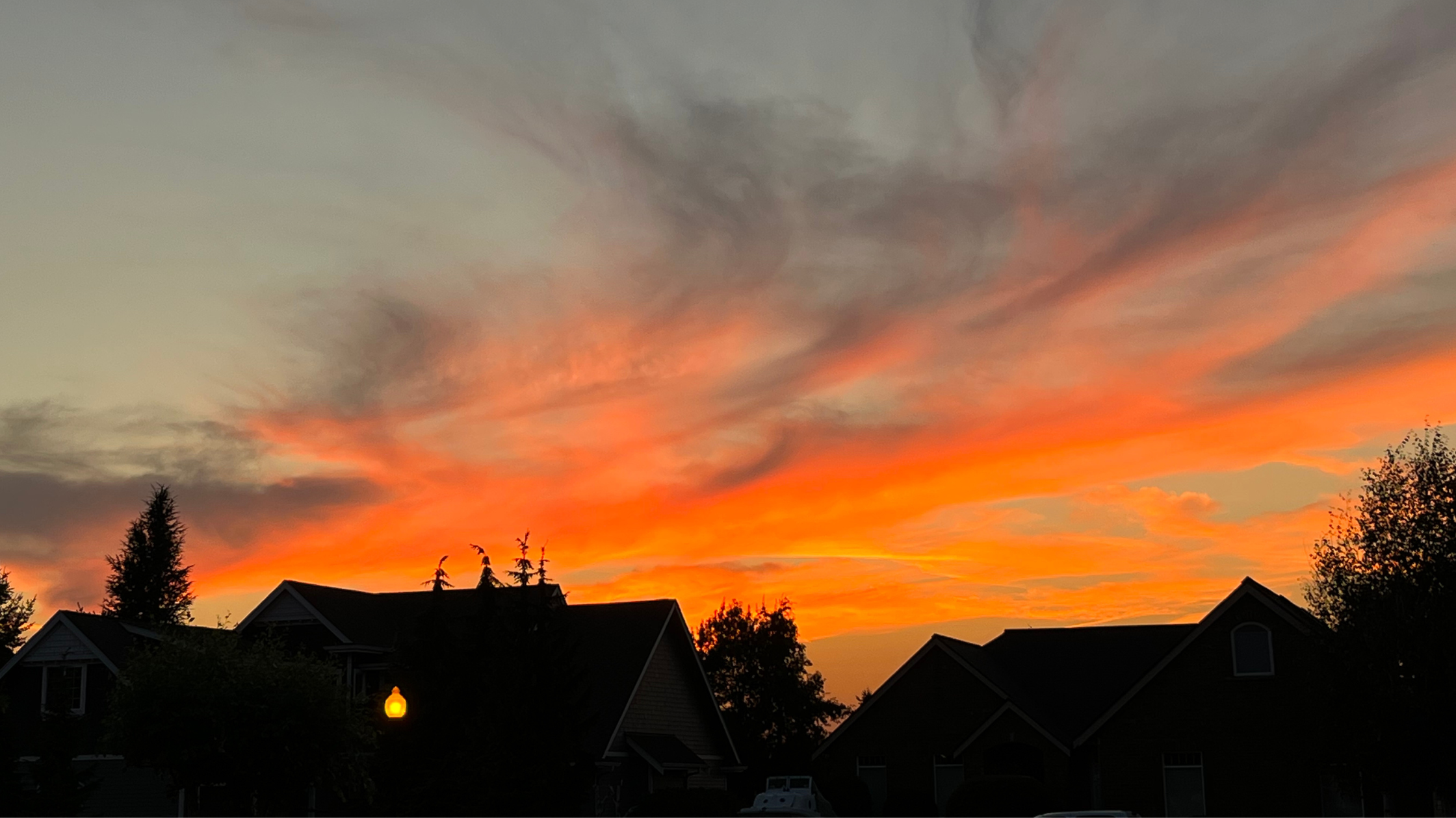 Lovely Things in Lynden (from a brand-new resident) header image.