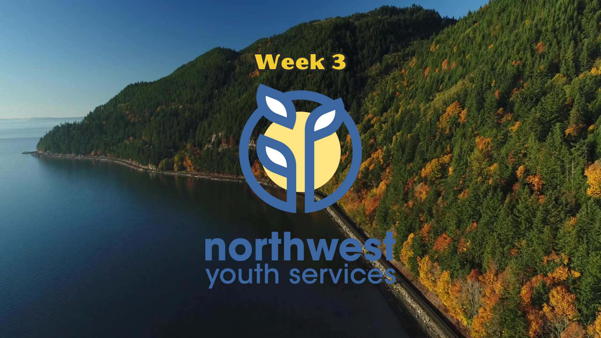 Nonprofit November: Northwest Youth Services header image.