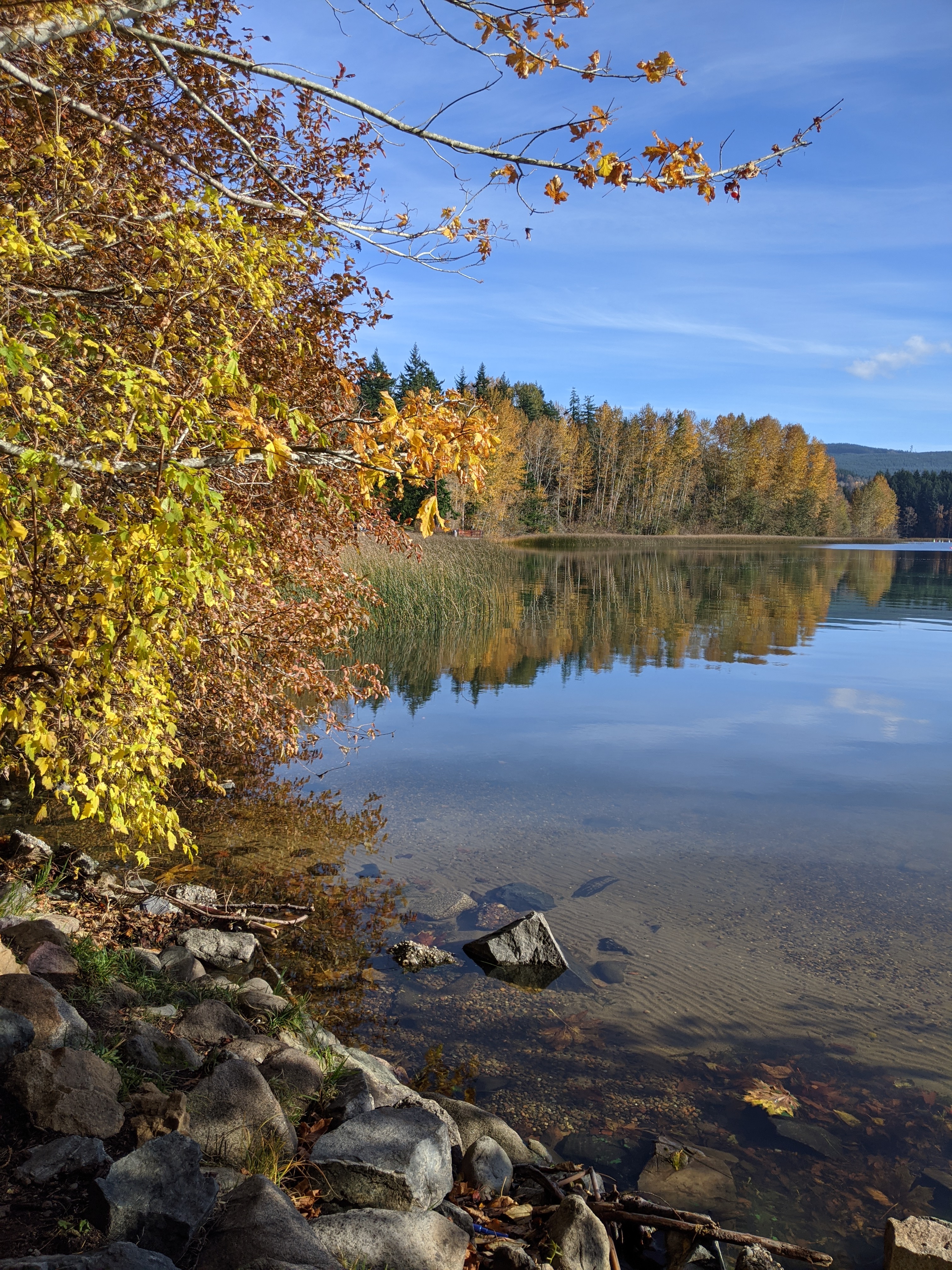 The Big Dark (Welcome to the Pacific Northwest) header image.