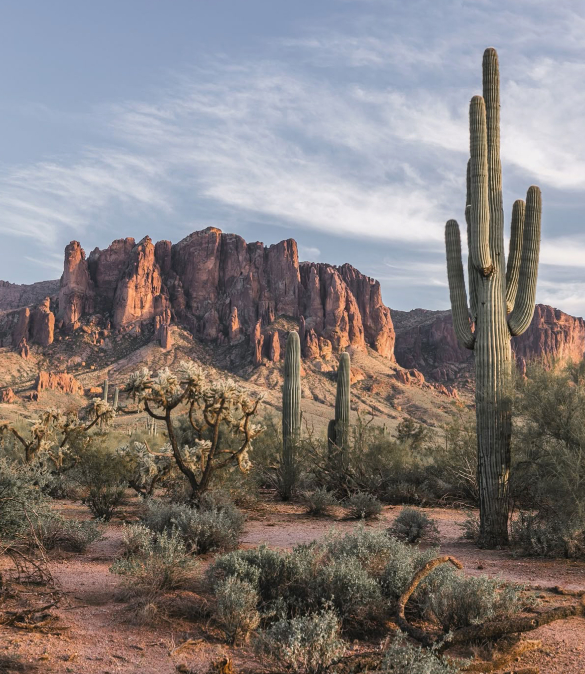 Arizona Desert with Superstition Mountains