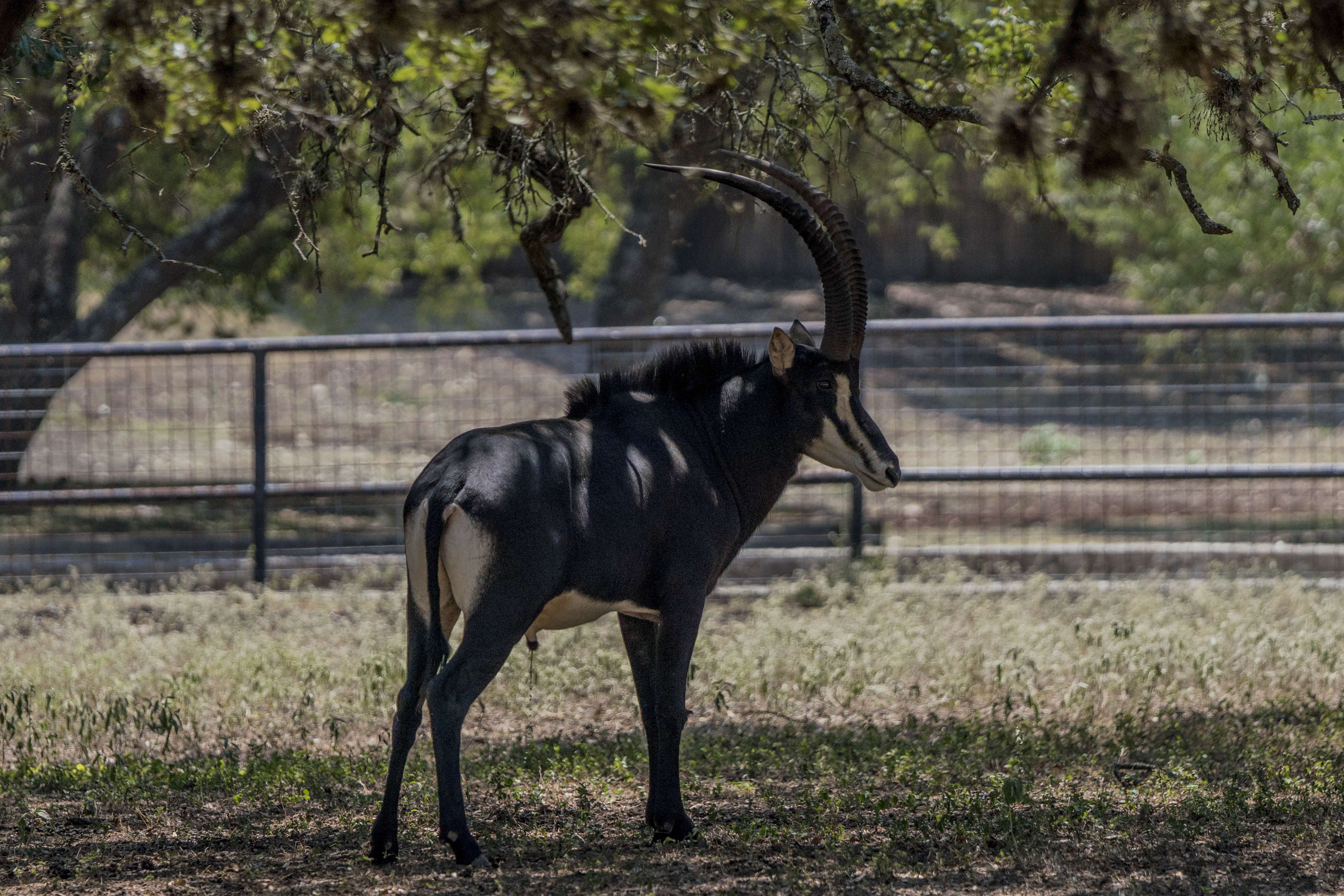 5 Tips for Selling Your Farm or Ranch header image.