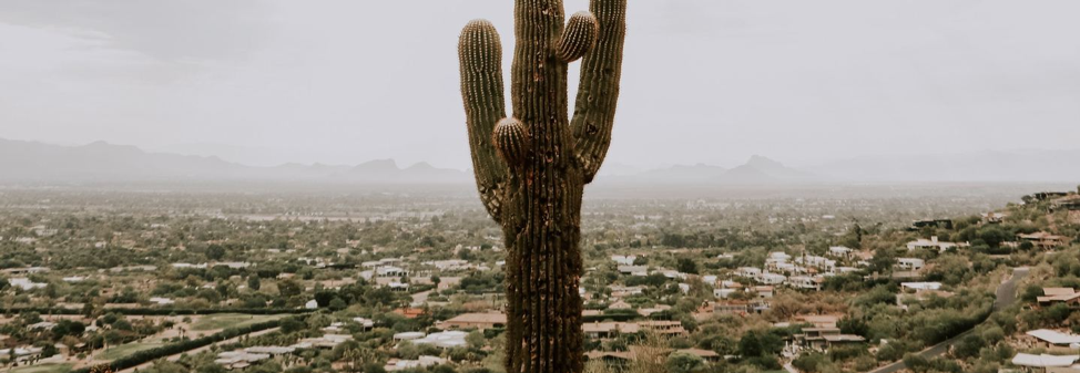 2019 Real Estate Year In Review: Phoenix header image.