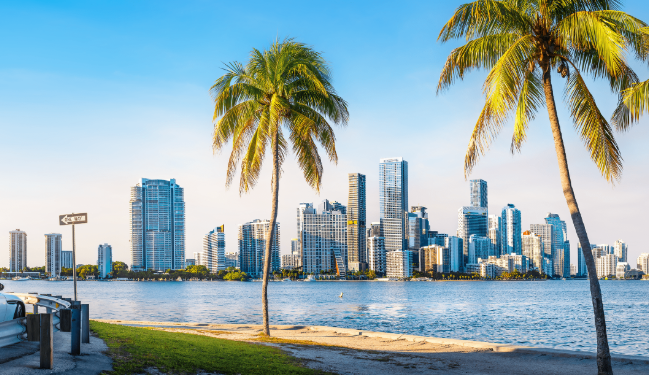 New Year, New Home: Tips for Buying in 2025 header image.