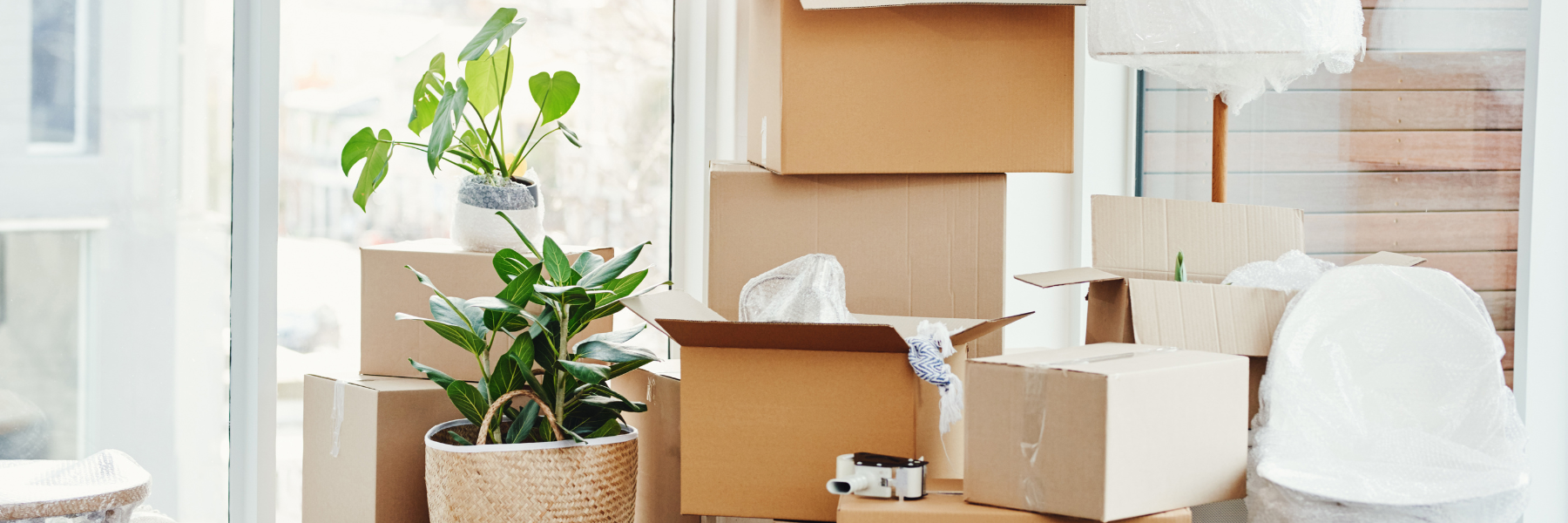 Mastering the Move: Essential Tips for a Smoother Transition to Your New Home header image.