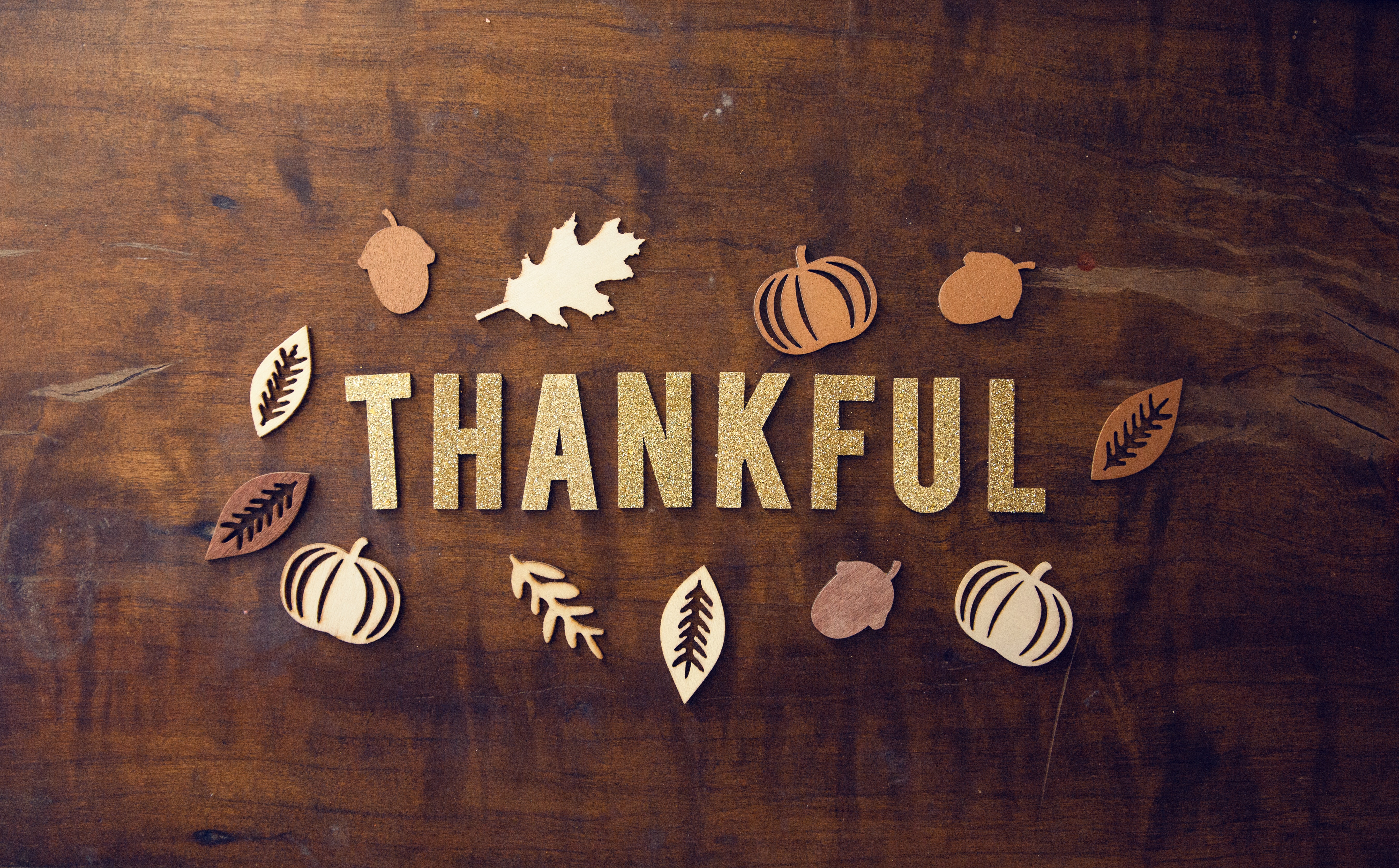 Thanksgiving Day Celebrations header image.