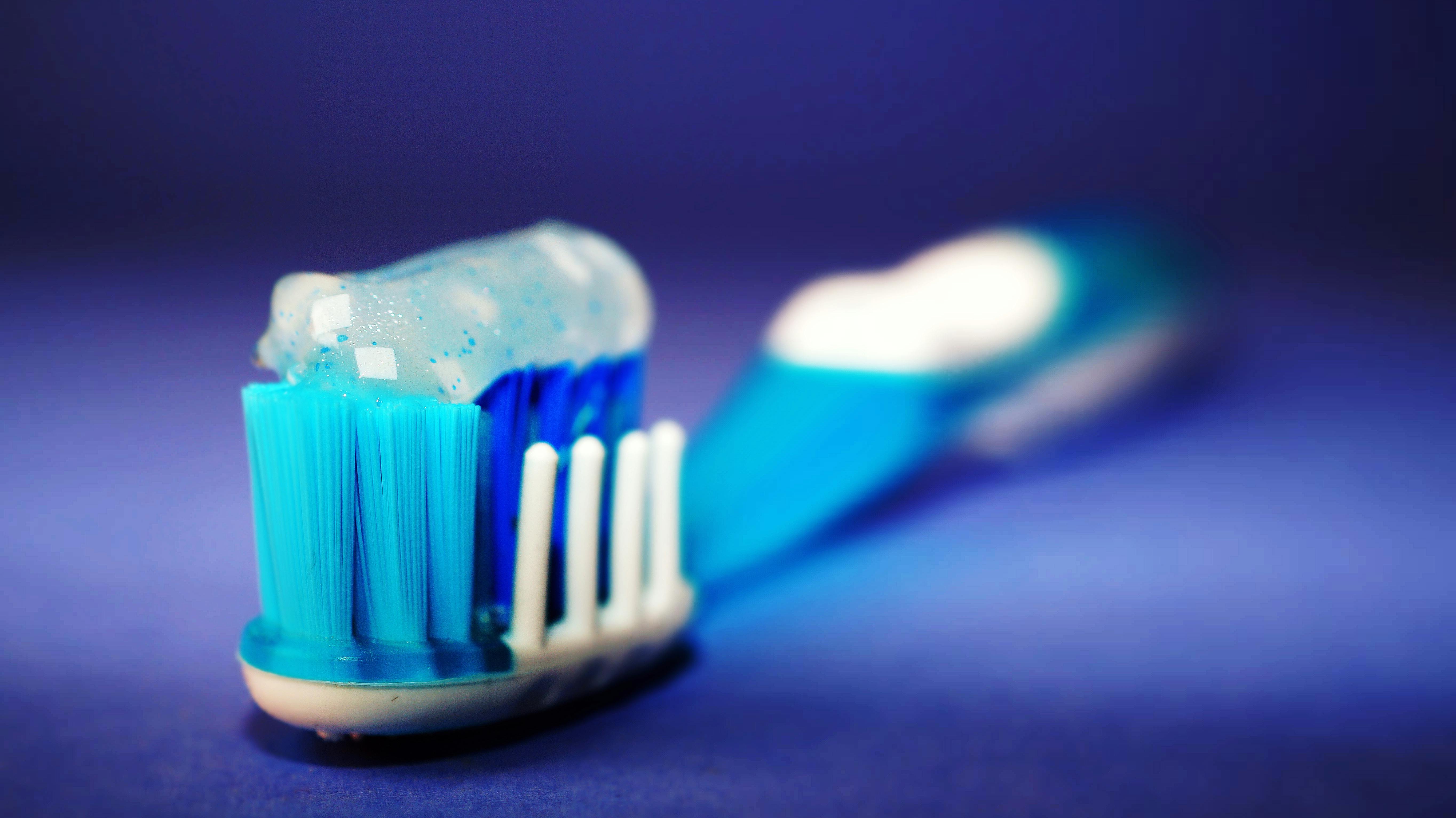 March Business Spotlight 2: Kids Plus Pediatric Dentistry header image.