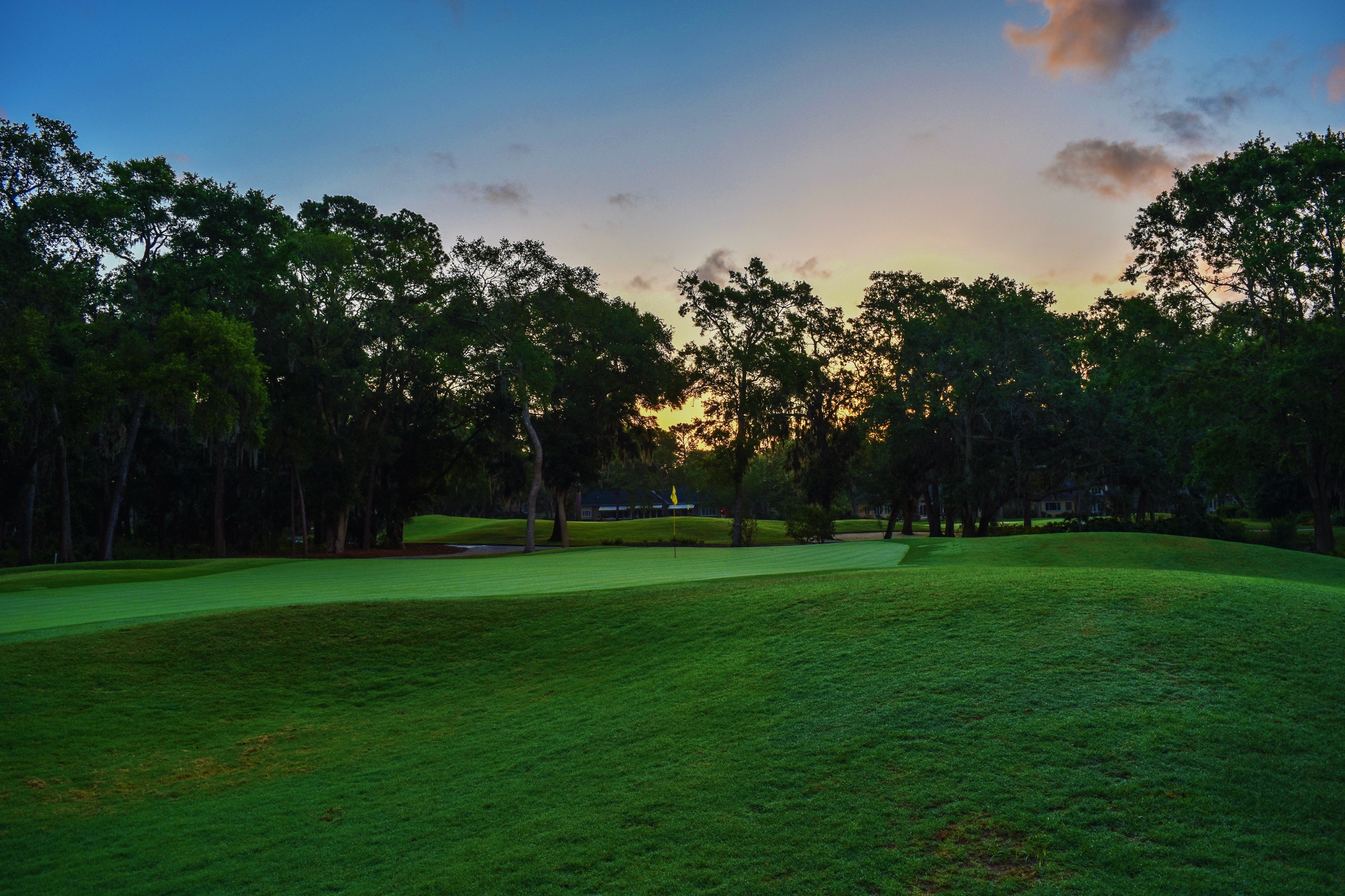 Our Favorite Things to Do in Orland Park header image.